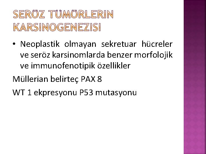  • Neoplastik olmayan sekretuar hücreler ve seröz karsinomlarda benzer morfolojik ve immunofenotipik özellikler