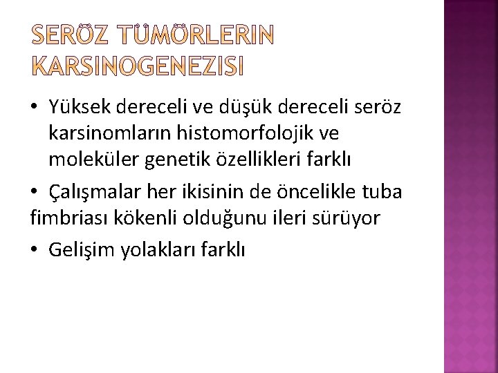  • Yüksek dereceli ve düşük dereceli seröz karsinomların histomorfolojik ve moleküler genetik özellikleri