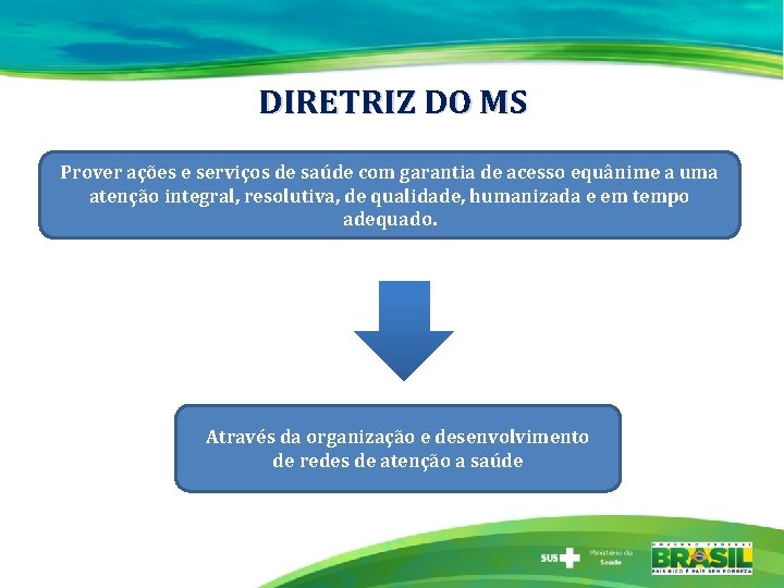 DIRETRIZ DO MS Prover ações e serviços de saúde com garantia de acesso equânime