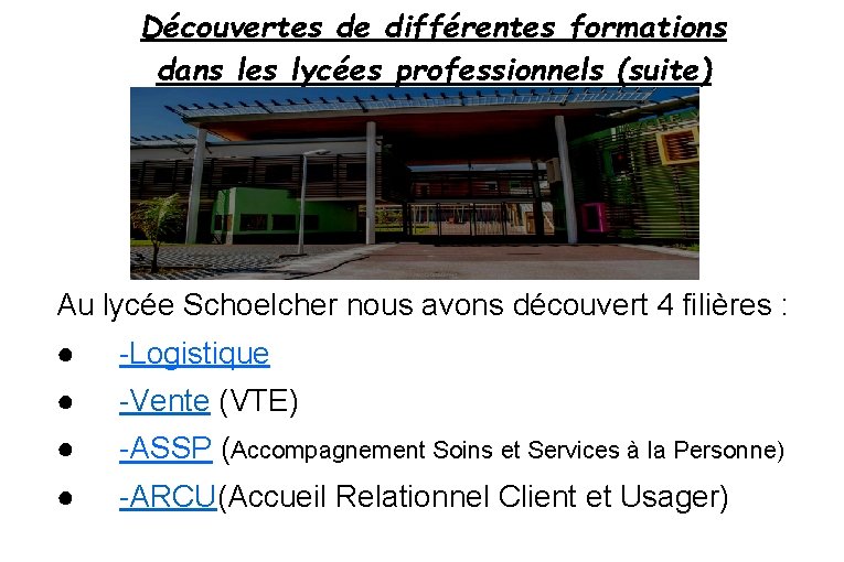 Découvertes de différentes formations dans les lycées professionnels (suite) Au lycée Schoelcher nous avons