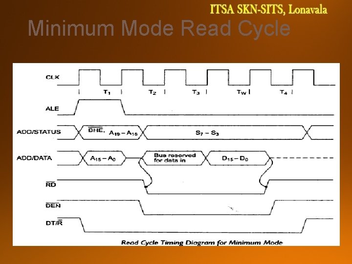 Minimum Mode Read Cycle 