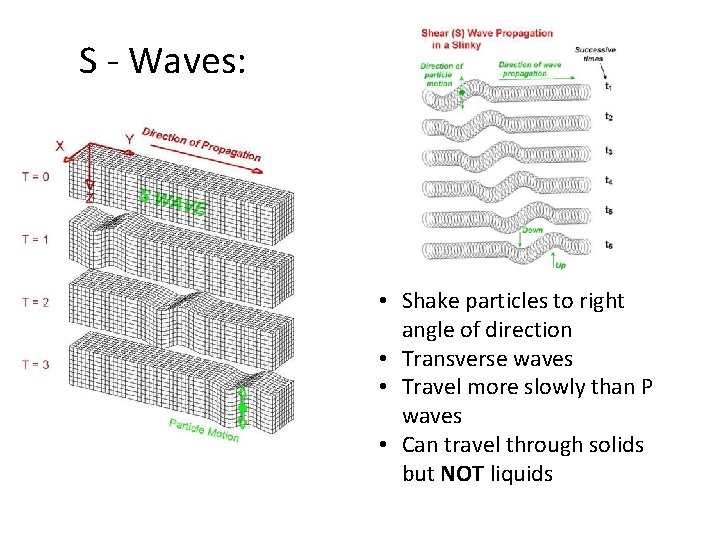 S - Waves: • Shake particles to right angle of direction • Transverse waves