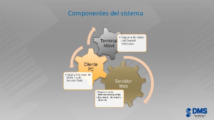 Componentes del sistema www. dms. com. pe 