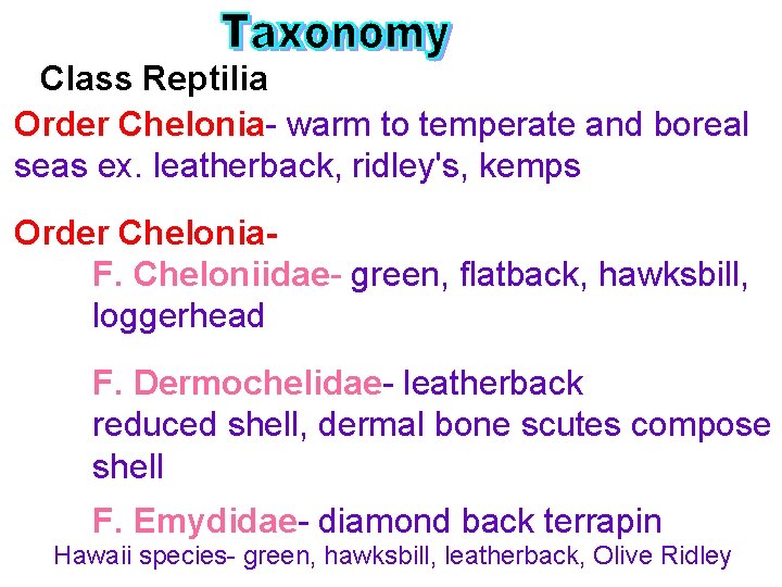 Class Reptilia Order Chelonia- warm to temperate and boreal seas ex. leatherback, ridley's, kemps