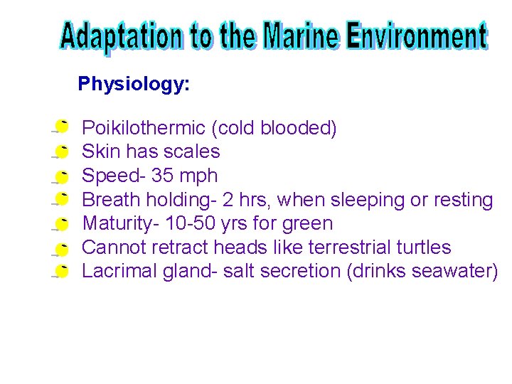 Physiology: Poikilothermic (cold blooded) Skin has scales Speed- 35 mph Breath holding- 2 hrs,