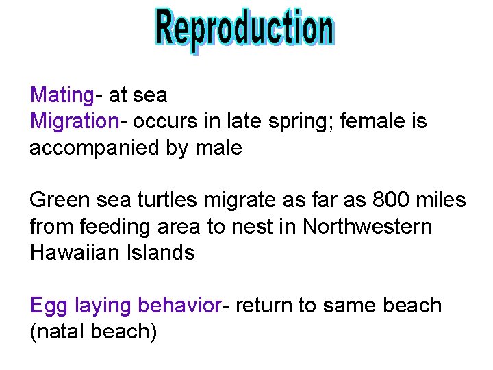 Mating- at sea Migration- occurs in late spring; female is accompanied by male Green