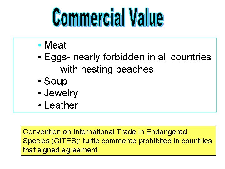  • Meat • Eggs- nearly forbidden in all countries with nesting beaches •