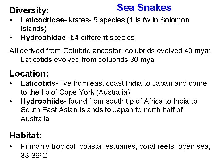 Diversity: • • Sea Snakes Laticodtidae- krates- 5 species (1 is fw in Solomon