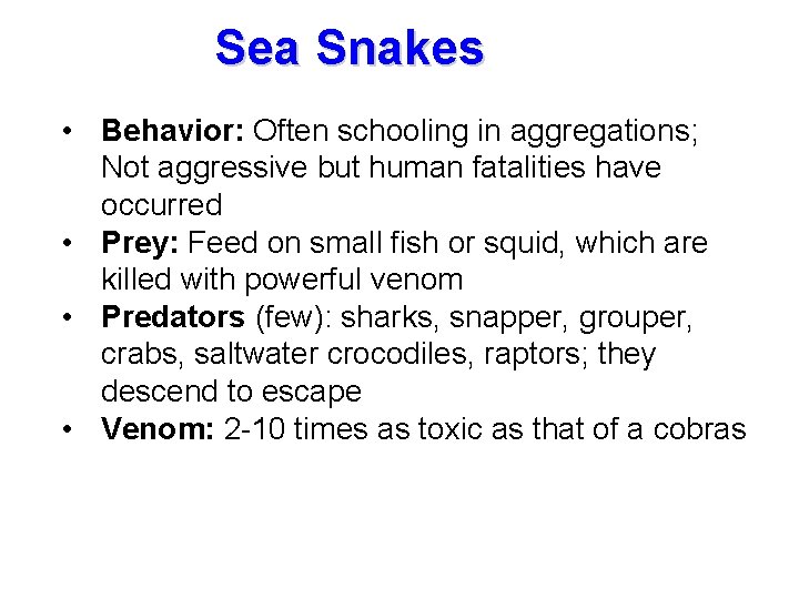 Sea Snakes • Behavior: Often schooling in aggregations; Not aggressive but human fatalities have