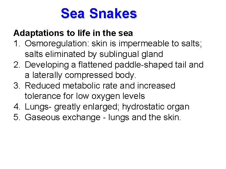 Sea Snakes Adaptations to life in the sea 1. Osmoregulation: skin is impermeable to