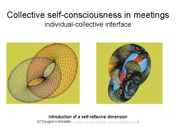 Collective self-consciousness in meetings individual-collective interface Introduction of a self-reflexive dimension (cf Douglas Hofstadter,