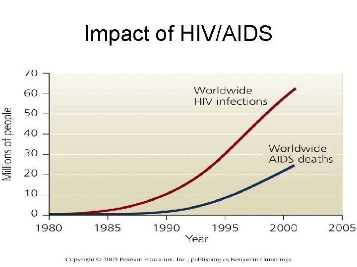 Impact of HIV/AIDS 
