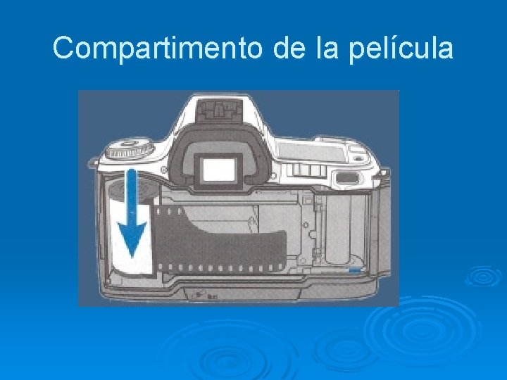 Compartimento de la película Compartimento de la película