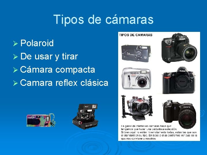 Tipos de cámaras Ø Polaroid Ø De usar y tirar Ø Cámara compacta Ø