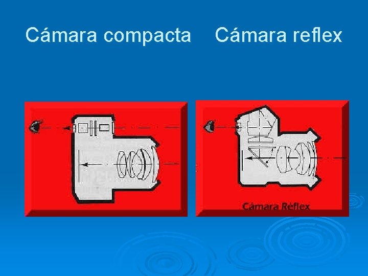 Cámara compacta Cámara reflex 