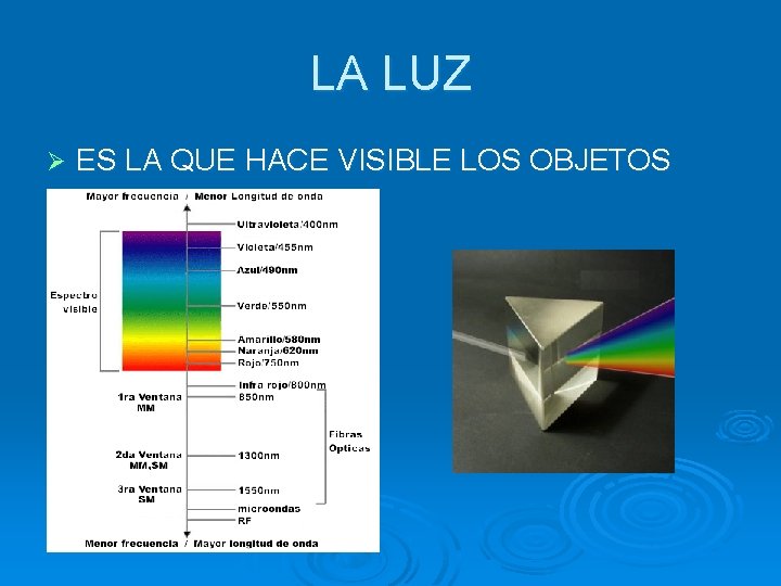 LA LUZ Ø ES LA QUE HACE VISIBLE LOS OBJETOS 