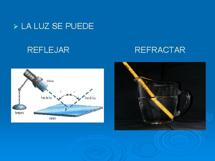 LA LUZ SE PUEDE REFLEJAR REFRACTAR Ø 