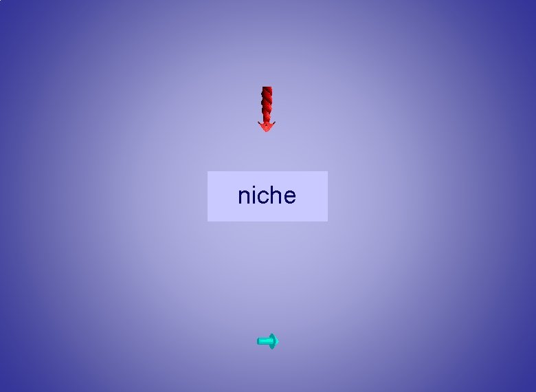 mots N 1 lent 3 décl branche homme femme moulin cheval enfant plante niche