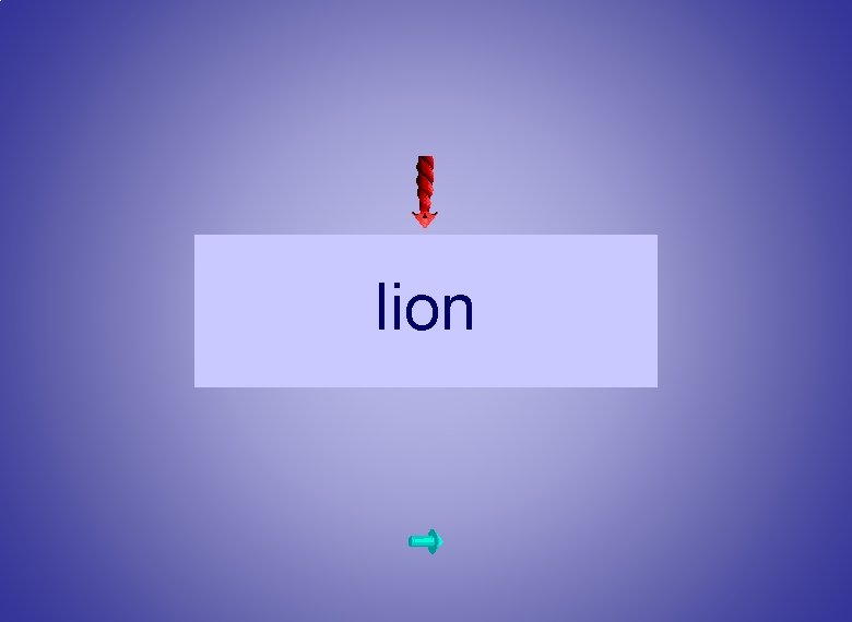 lion 