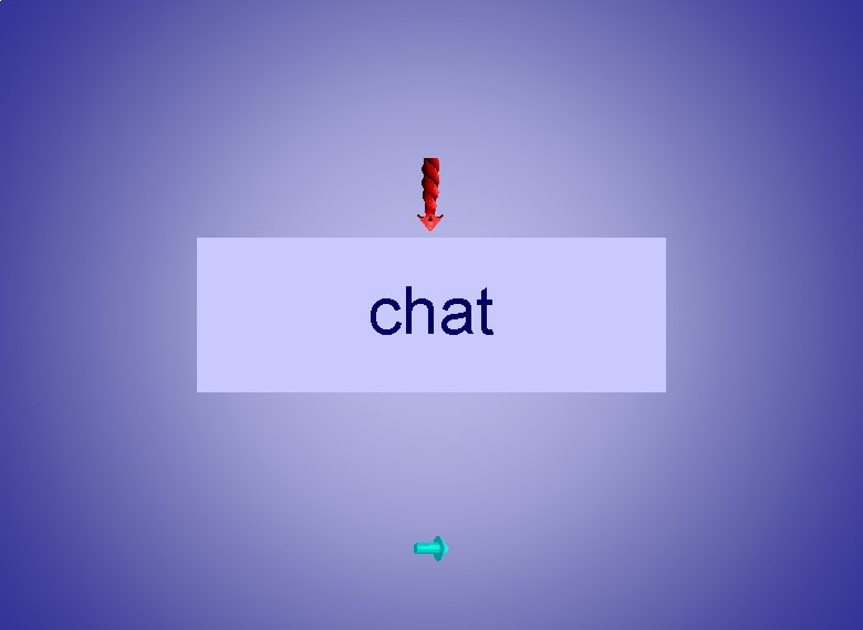 chat 