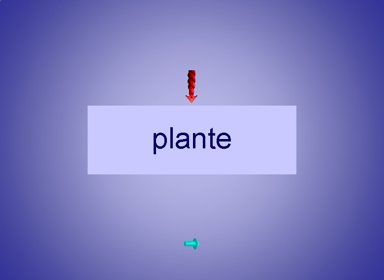plante 