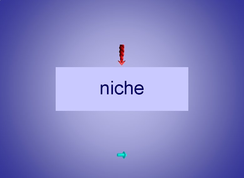 niche 