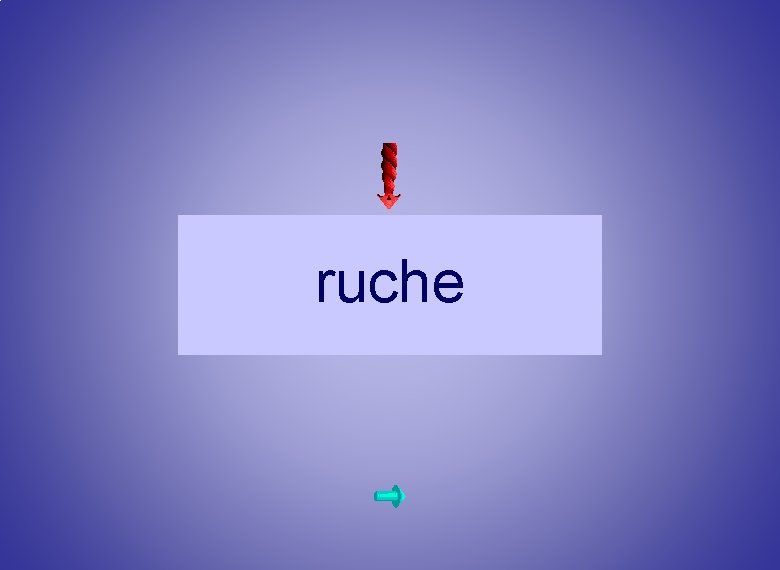 E 5 ruche 