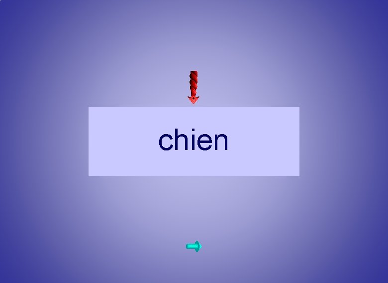 chien 