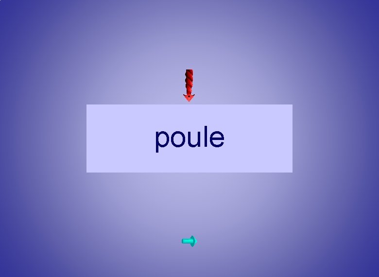 poule 