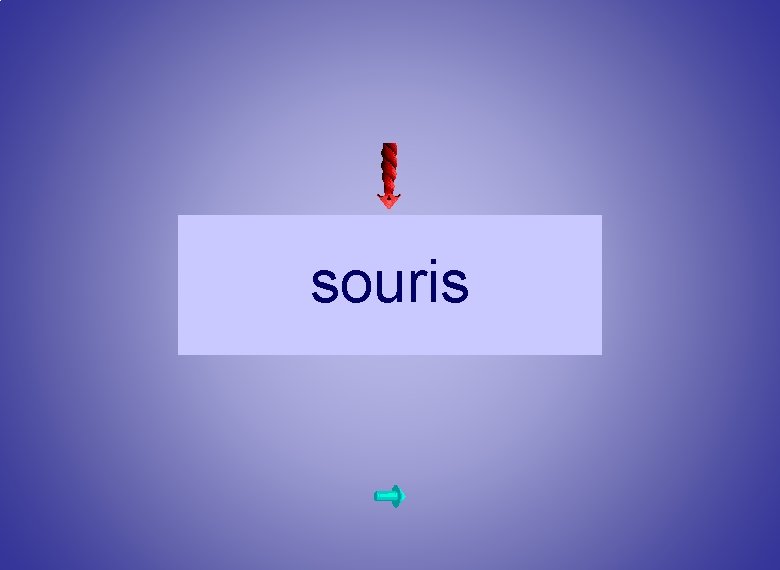souris 