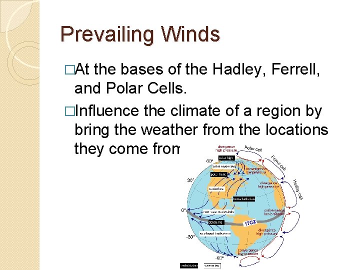 Prevailing Winds �At the bases of the Hadley, Ferrell, and Polar Cells. �Influence the