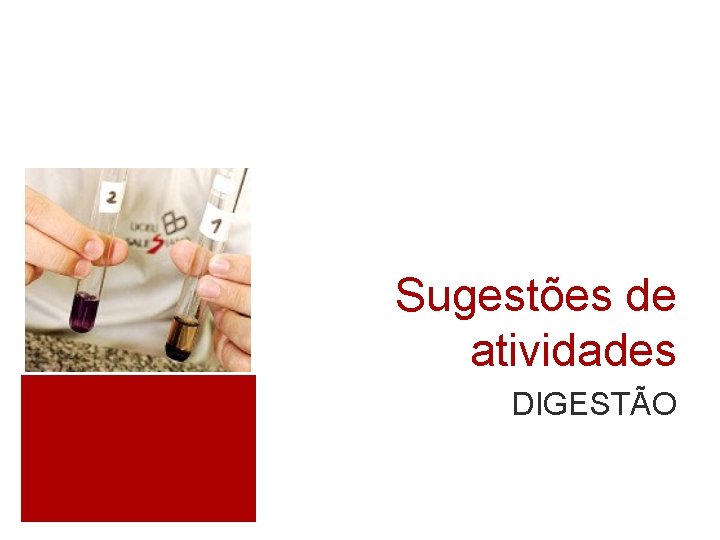 Sugestões de atividades DIGESTÃO 