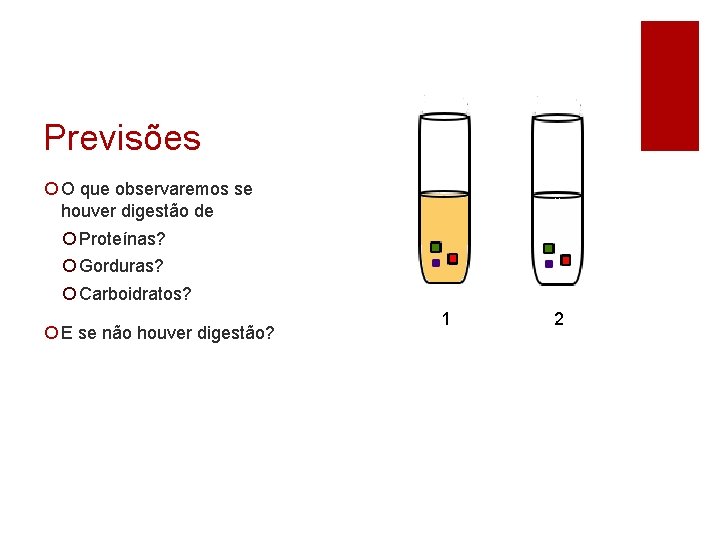 Previsões ¡ O que observaremos se houver digestão de ¡ Proteínas? ¡ Gorduras? ¡