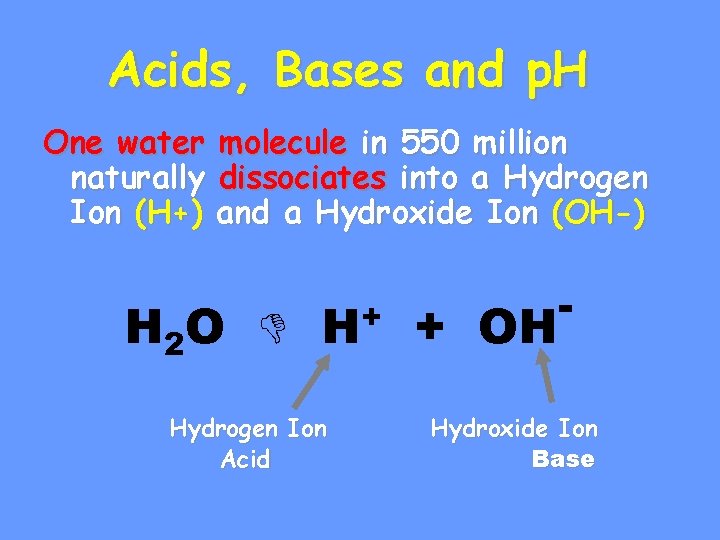 Acids, Bases and p. H One water naturally Ion (H+) molecule in 550 million