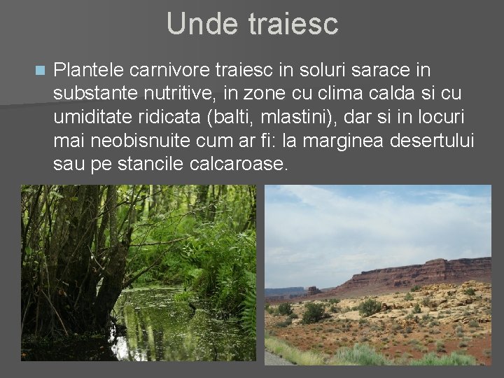 Unde traiesc n Plantele carnivore traiesc in soluri sarace in substante nutritive, in zone