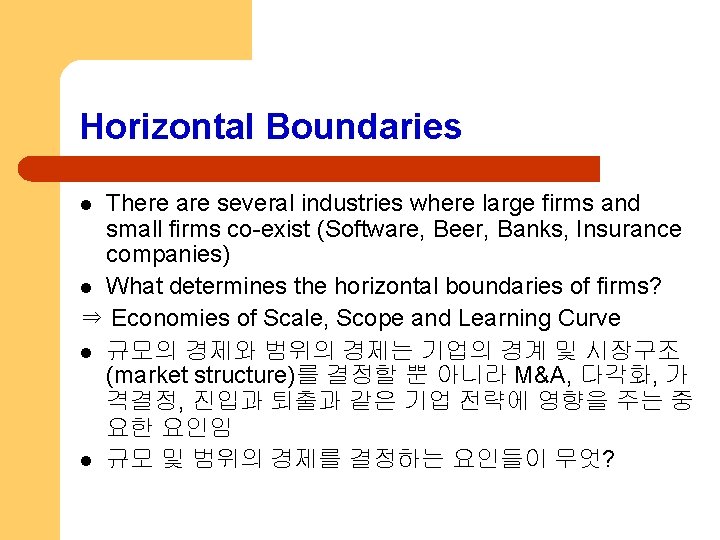 Horizontal Boundaries There are several industries where large firms and small firms co-exist (Software,