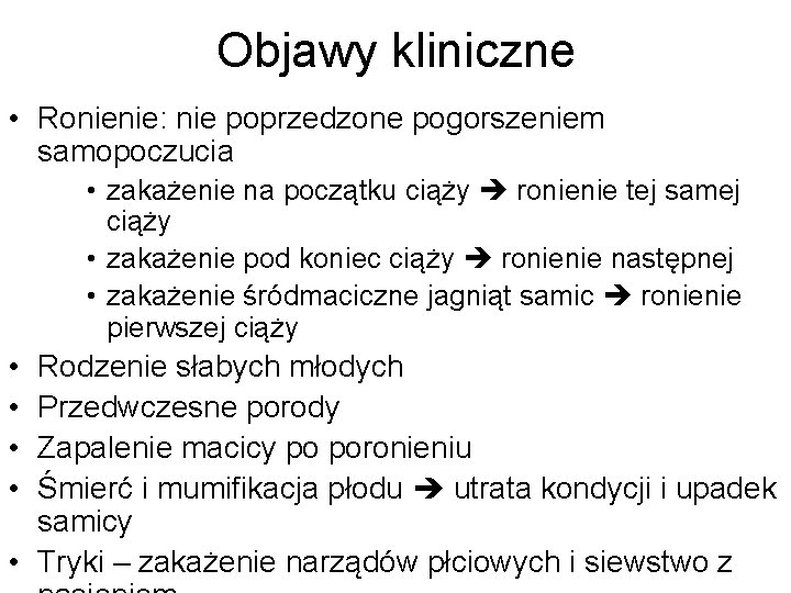 Objawy kliniczne • Ronienie: nie poprzedzone pogorszeniem samopoczucia • zakażenie na początku ciąży ronienie