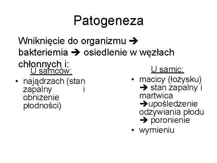 Patogeneza Wniknięcie do organizmu bakteriemia osiedlenie w węzłach chłonnych i: U samic: U samców: