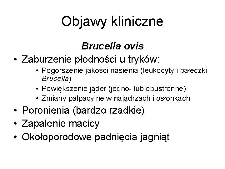 Objawy kliniczne Brucella ovis • Zaburzenie płodności u tryków: • Pogorszenie jakości nasienia (leukocyty