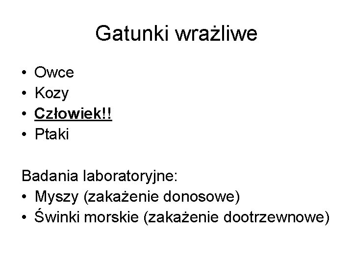 Gatunki wrażliwe • • Owce Kozy Człowiek!! Ptaki Badania laboratoryjne: • Myszy (zakażenie donosowe)