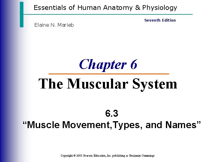 Essentials of Human Anatomy & Physiology Elaine N. Marieb Seventh Edition Chapter 6 The