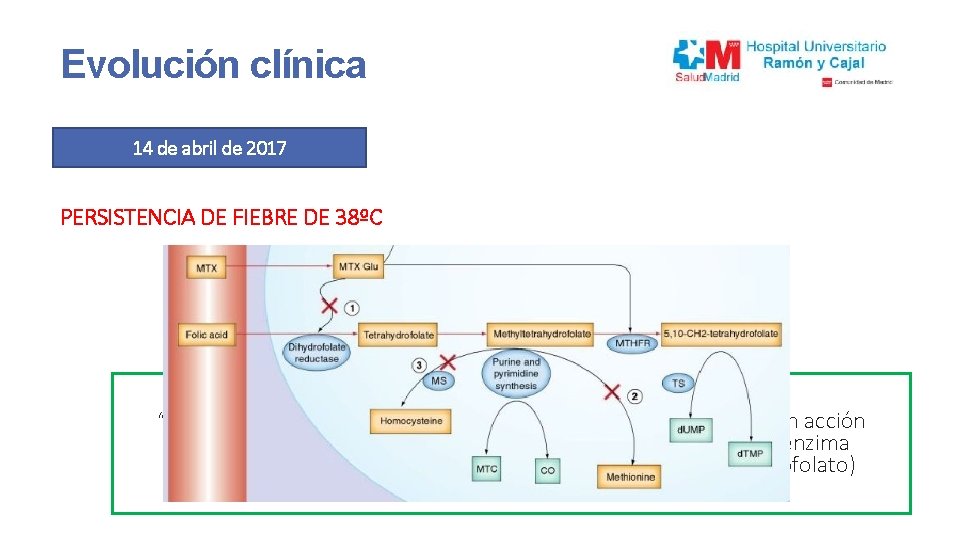 Evolución clínica 14 de abril de 2017 PERSISTENCIA DE FIEBRE DE 38ºC TRATAMIENTO CON