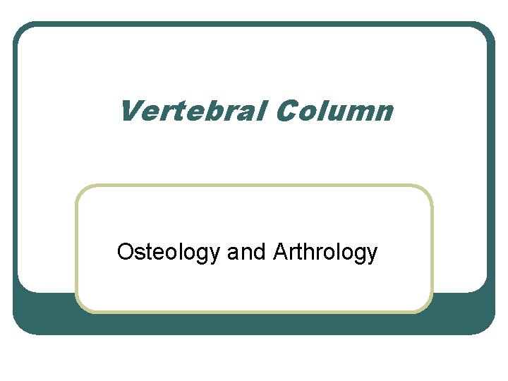 Vertebral Column Osteology and Arthrology 