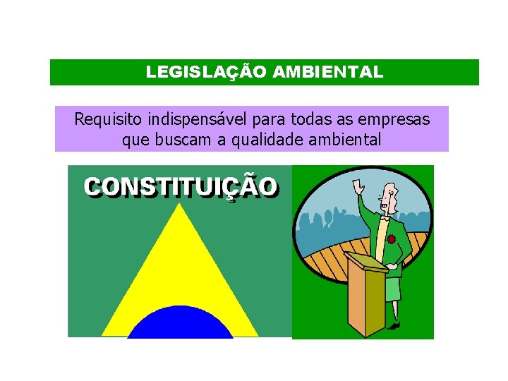 LEGISLAÇÃO AMBIENTAL Requisito indispensável para todas as empresas que buscam a qualidade ambiental 