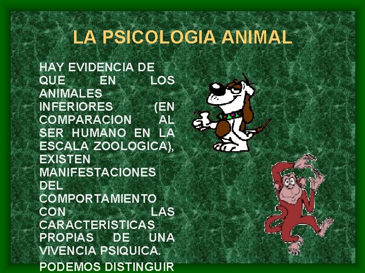 LA PSICOLOGIA ANIMAL HAY EVIDENCIA DE QUE EN LOS ANIMALES INFERIORES (EN COMPARACION AL