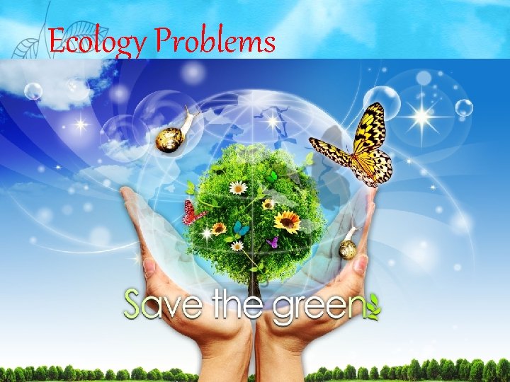 Ecology Problems 