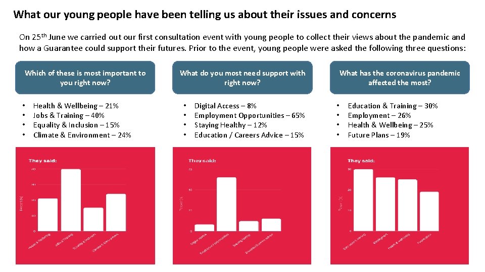 What our young people have been telling us about their issues and concerns On