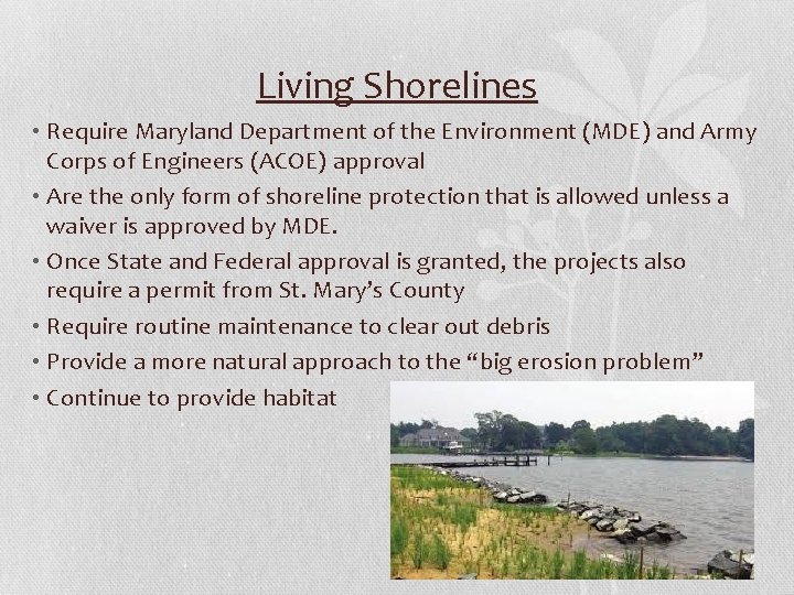 Living Shorelines • Require Maryland Department of the Environment (MDE) and Army Corps of Living Shorelines • Require Maryland Department of the Environment (MDE) and Army Corps of