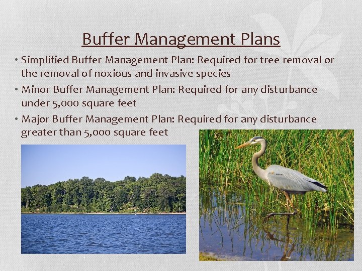 Buffer Management Plans • Simplified Buffer Management Plan: Required for tree removal or the Buffer Management Plans • Simplified Buffer Management Plan: Required for tree removal or the
