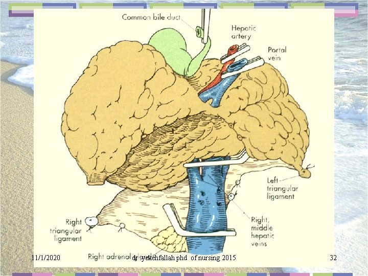 11/1/2020 dr. yekehfallah phd of nursing 2015 32 